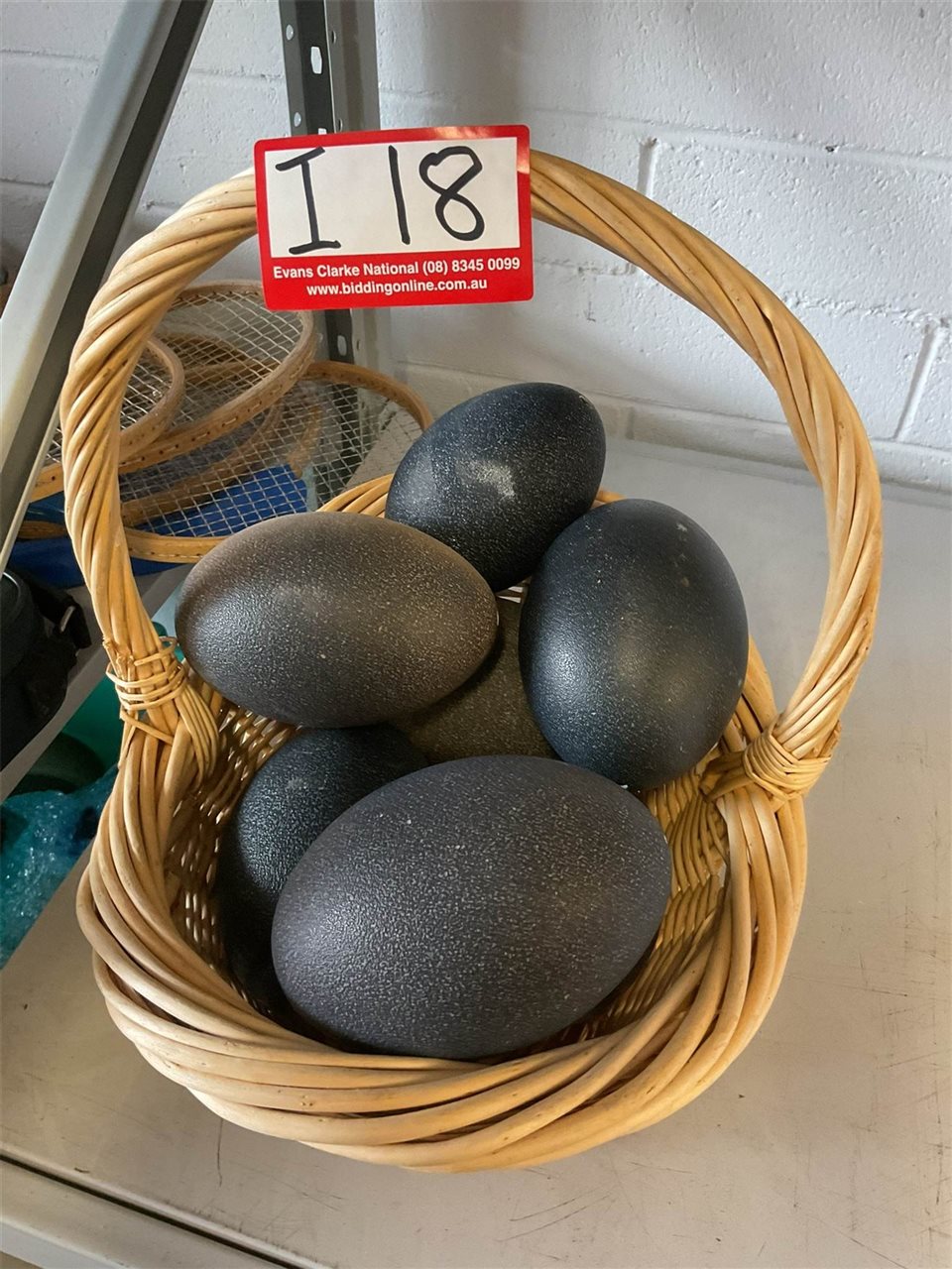 A Basket Of Green Black Emu Eggs