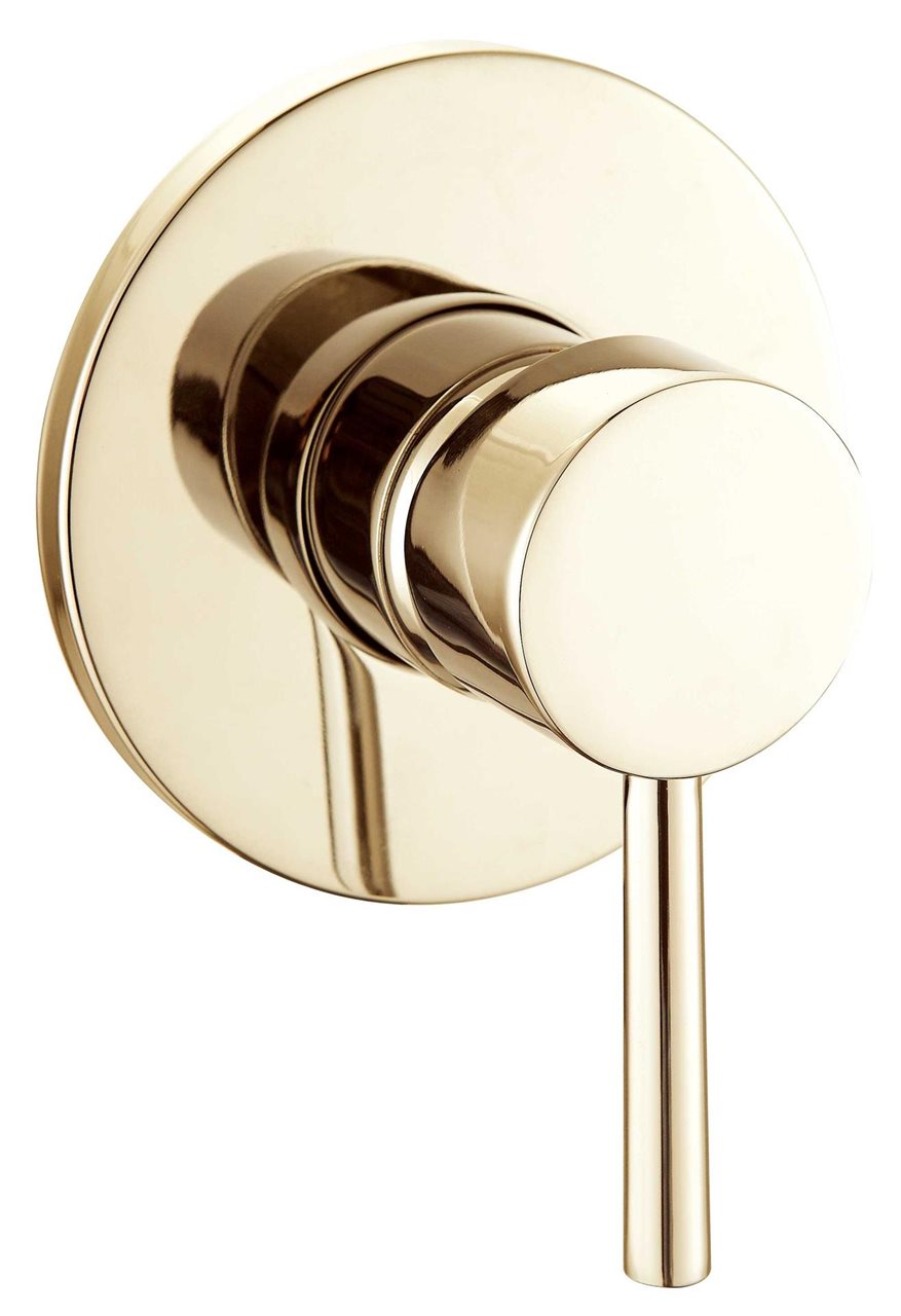 Brushed Gold Single-Function Shower Mixer