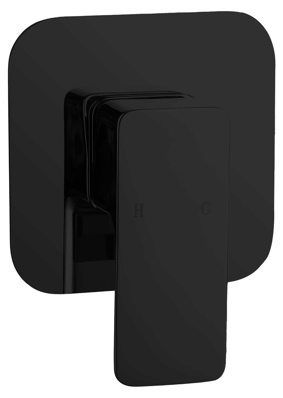 Matte Black Single-Function Shower Mixer