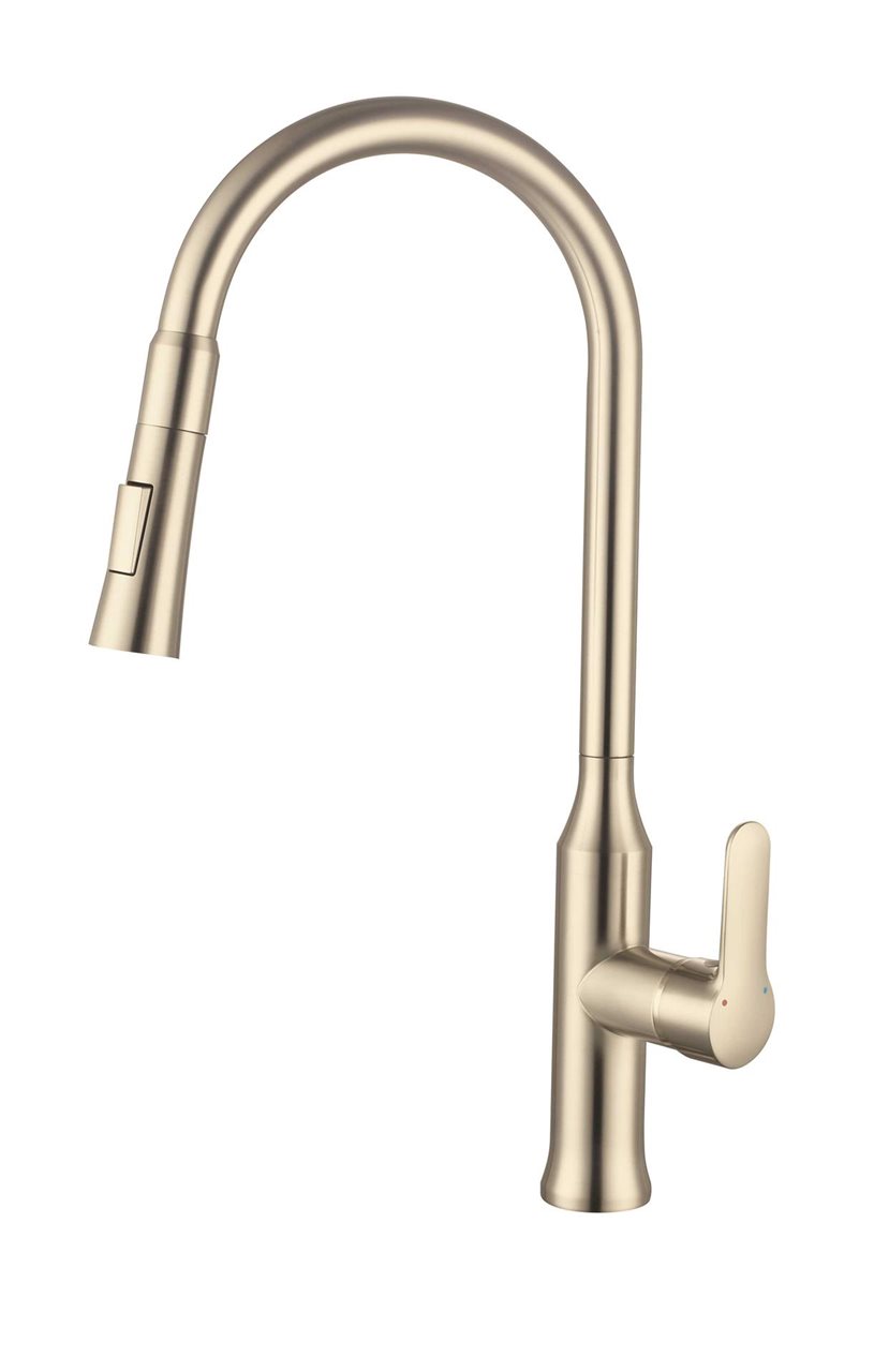 Brushed Gold Kitchen Mixer
