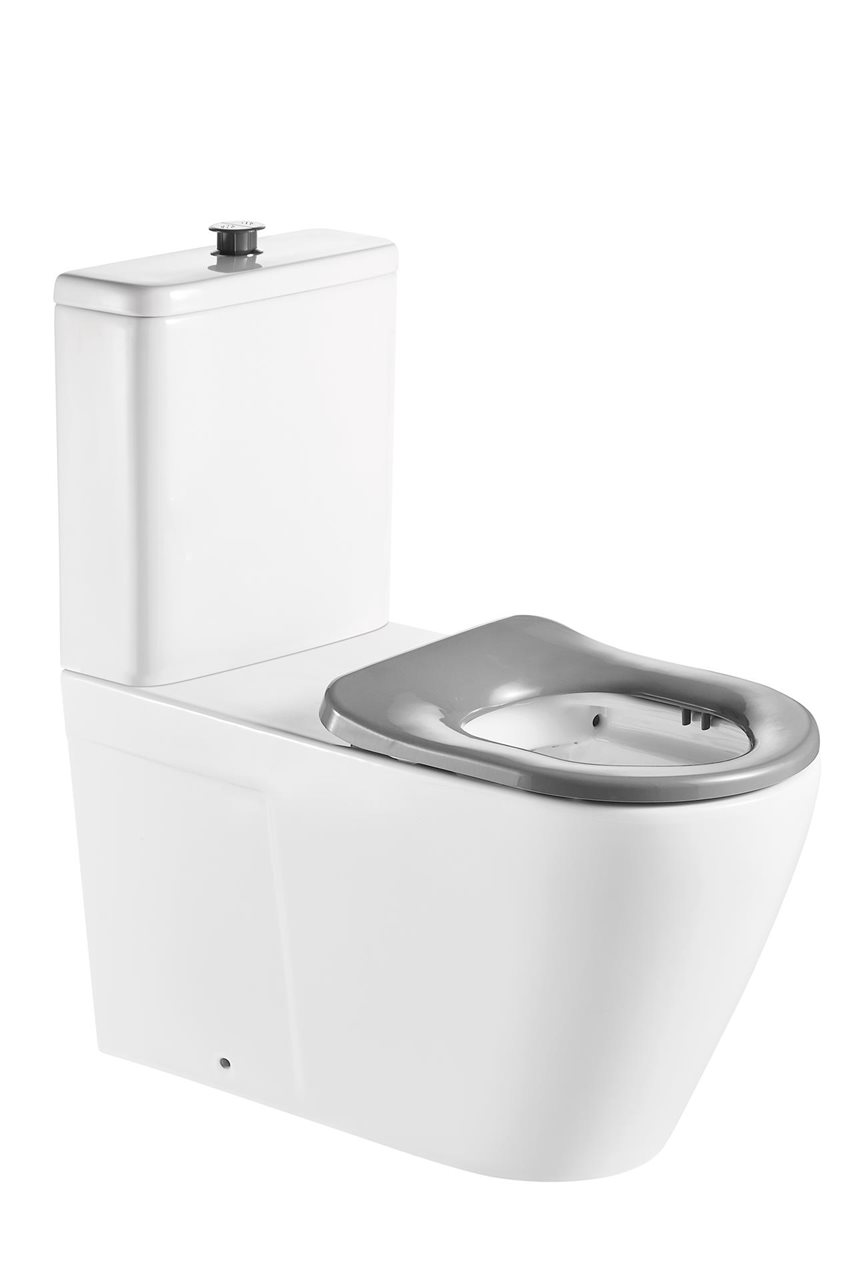 Access Toilet Suite, Modern Rimless Flush Design, Geberit Mechanism