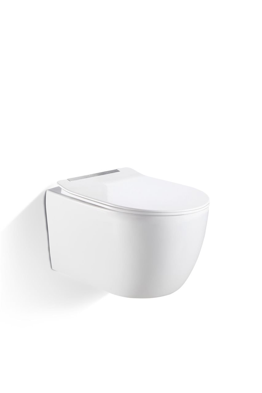 Domus Wall Hung Toilet Pan Thumbnail