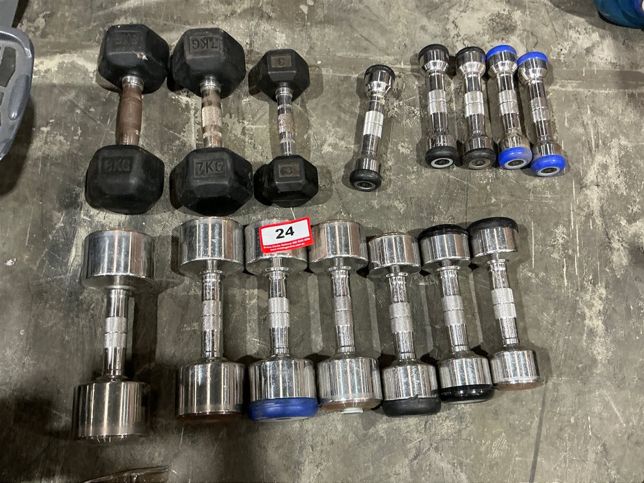 Quantity of Fixed-Weight Dumbbells — Rubber Hex (3kg–8kg Pairs) and Chrome/Pro