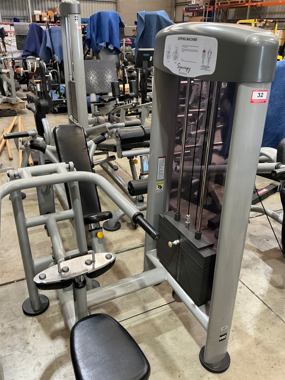 Synergy Seated Dipping Machine, Pin-Loaded, By Calgym