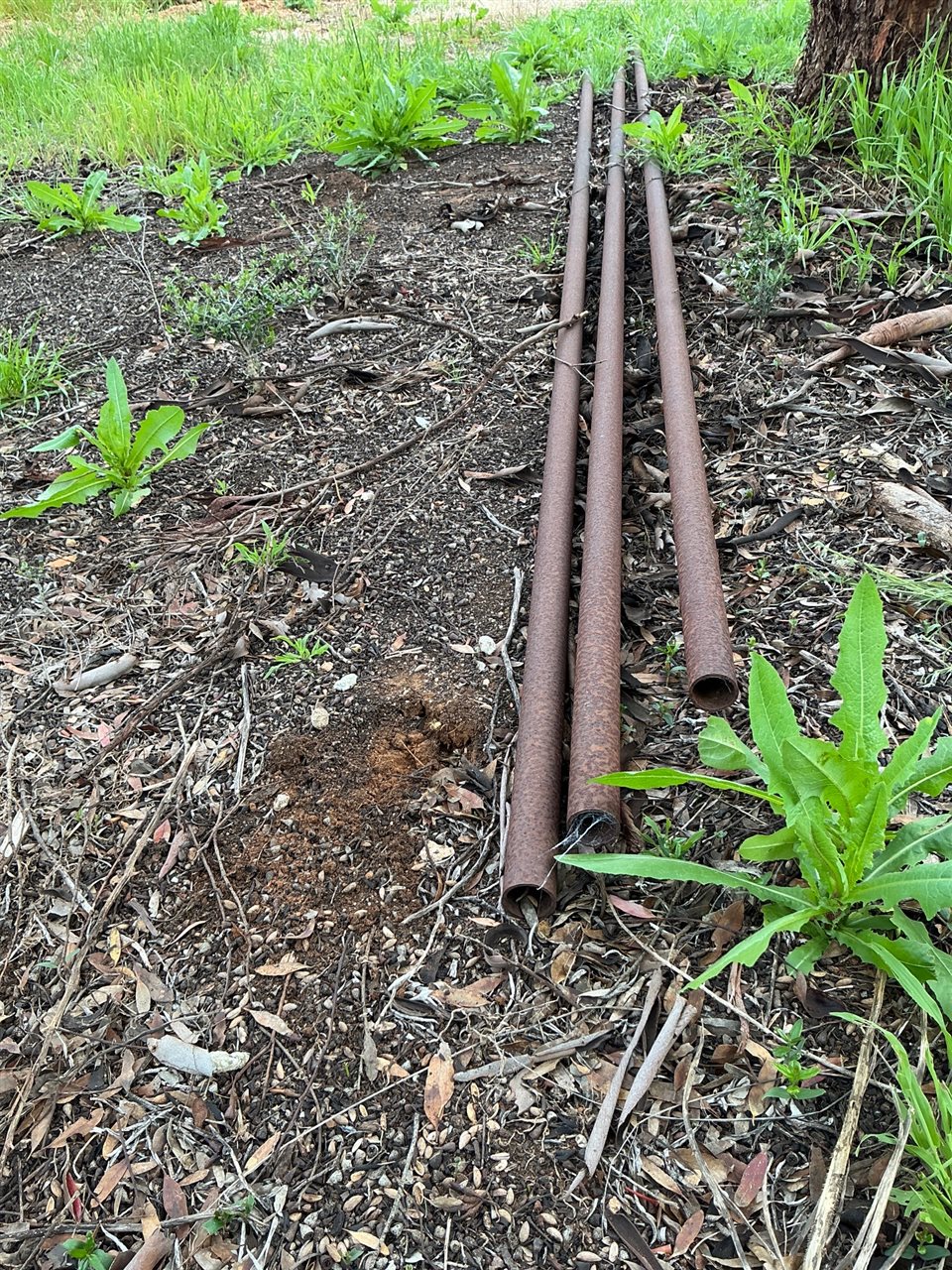 Steel 2 “ Pipe -Quantity of 5 Lengths - Approx 9 Metre Long  ( Collect From Penfield Gardens )