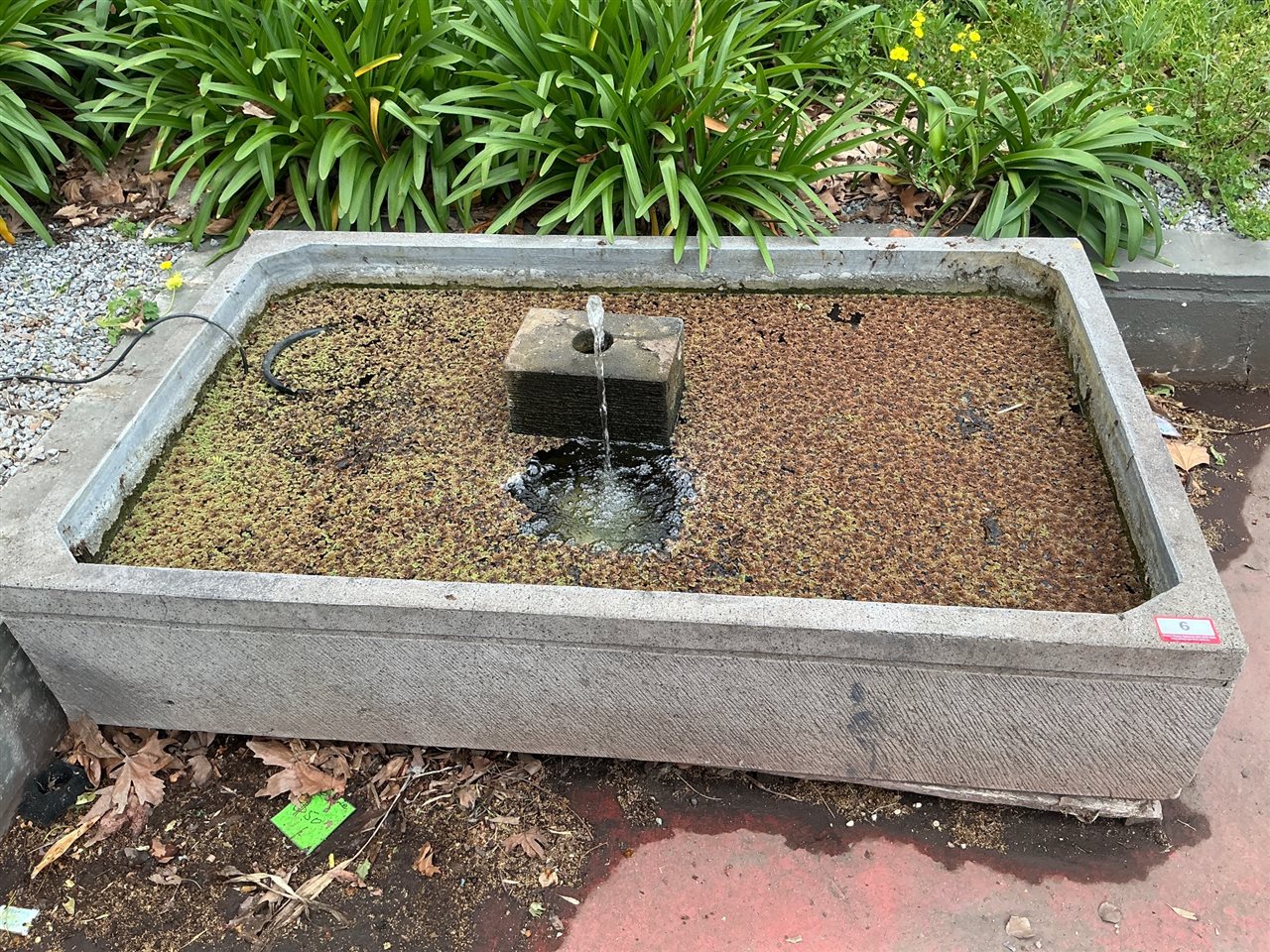 Large Trough Pond Water Feature with Spout Block, 1800 x 1100 x 350mm