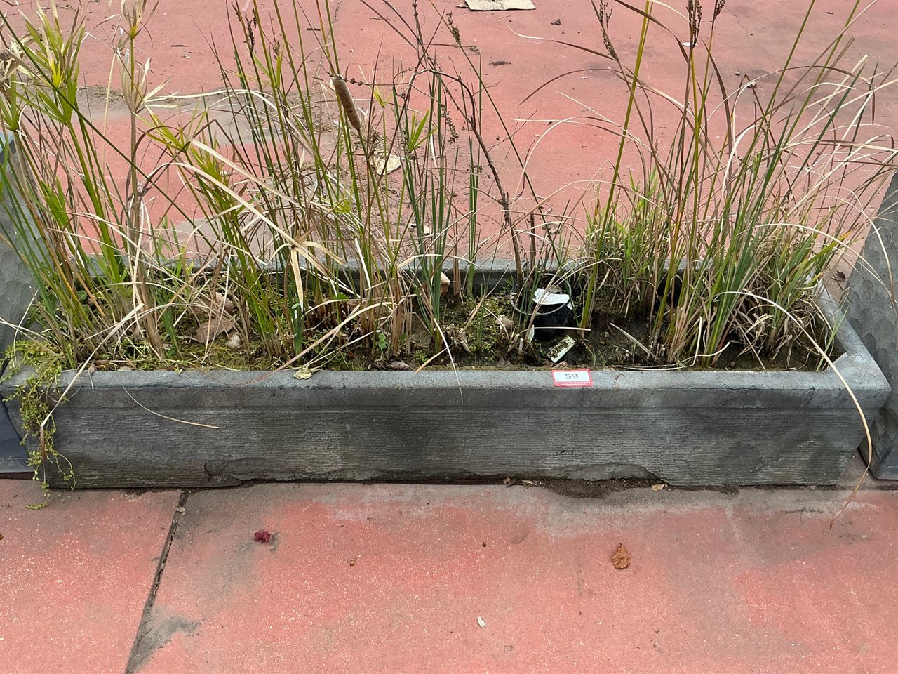 Long Low Grey Trough Planter with Grasses
