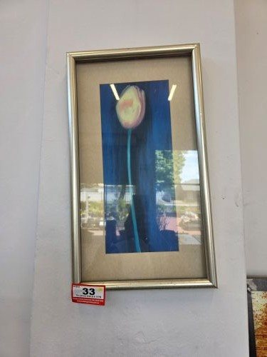 Tulip Picture