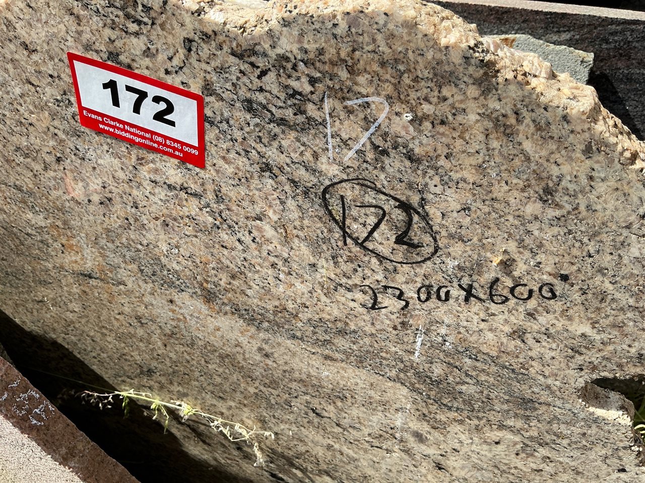 Granite Slab, Cream/Black, 2300 x 600 x 20mm approx.