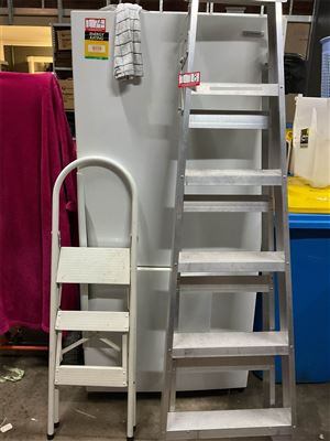1 Sentinel Ladder 5 Step Aluminum 1.8 Cm High And 3 Step Ladder 120 Cm High Thumbnail