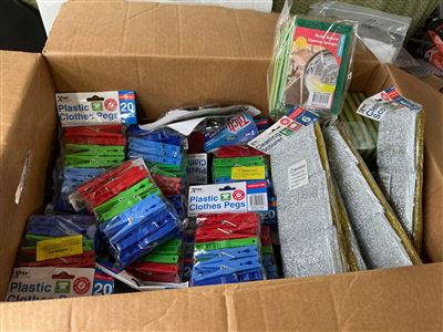 Carton of Plastic Clothes Pegs and Sponges Thumbnail