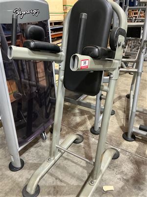 Vertical Knee Raise / Roman Chair Station, Bodyweight Thumbnail