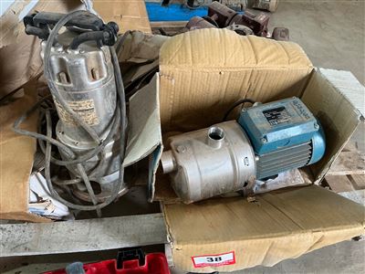 Submersible Electric Pump and Stainless Steel  Elec. Pump  (Collect From Penfield  Gardens ) Thumbnail