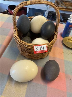 Basket Of Emu And Ostrich Eggs Thumbnail