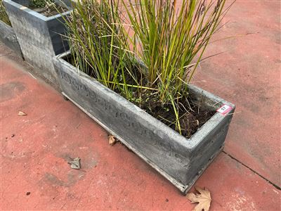Grey Trough Planter with Carved Scroll Band, Planted with Grasses Thumbnail