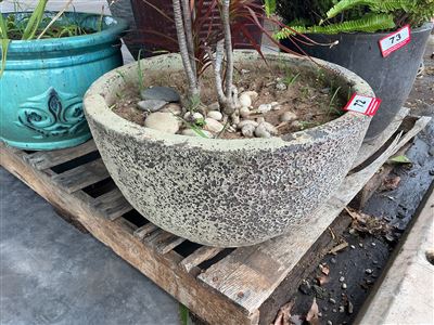 Low Speckled Bowl Pot, Planted, 500mm Diameter x 300mm High Thumbnail
