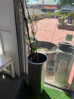 Tall Brushed Metal Cylinder Planter with Decorative Branches Thumbnail