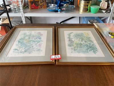 Pair Of Watercolour Floral Prints Thumbnail