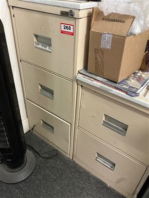 Steel  Filing Cabinets - 3 Drawer and 2 Drawer Thumbnail